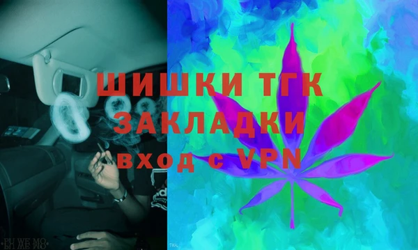 трава Белокуриха