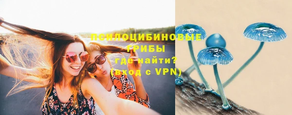 трава Белокуриха