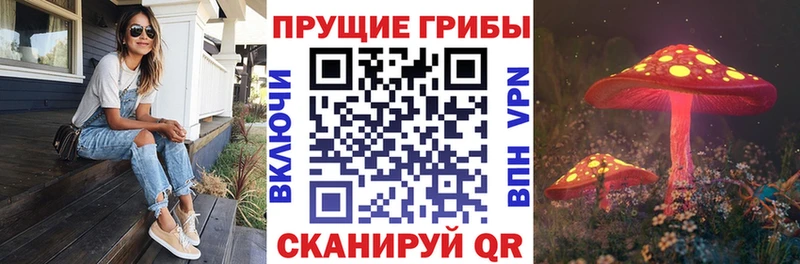 Псилоцибиновые грибы мицелий  купить наркотик  Новый Оскол 